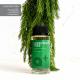 Christmas Tree | Aromar+ Wholesale Fragrance Oil - 2Oz